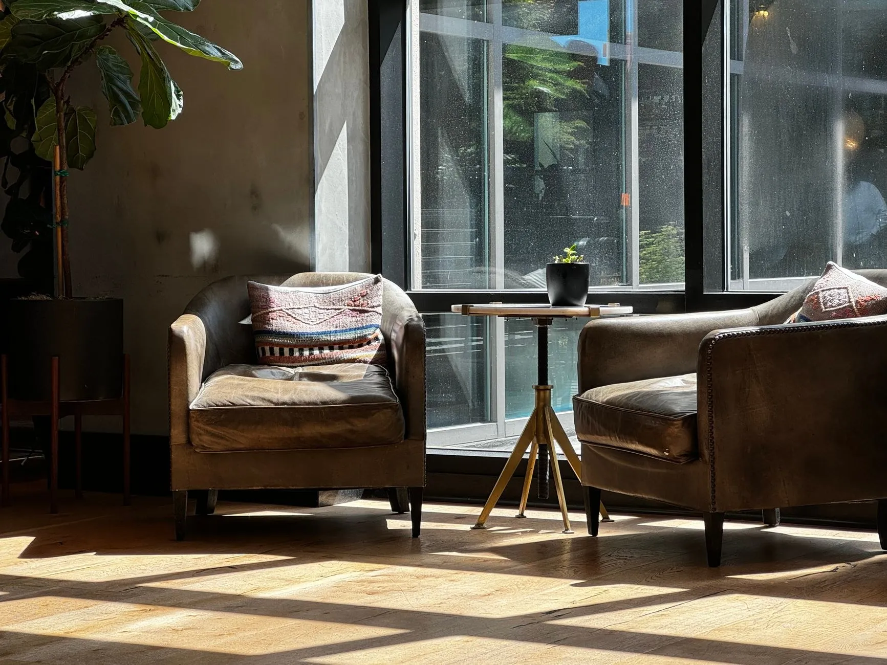 Cozy Australian living room with two armchairs and sunlight through large windows, a residential setting for SAA certified LED lighting