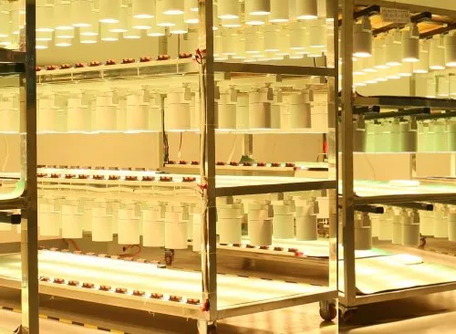 ENCORE Factory and Production Facility