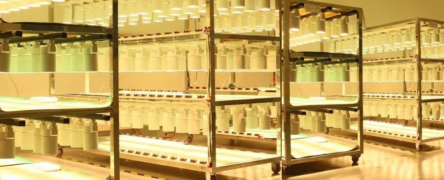 Custom LED Lighting Manufacturer: OEM/ODM Services