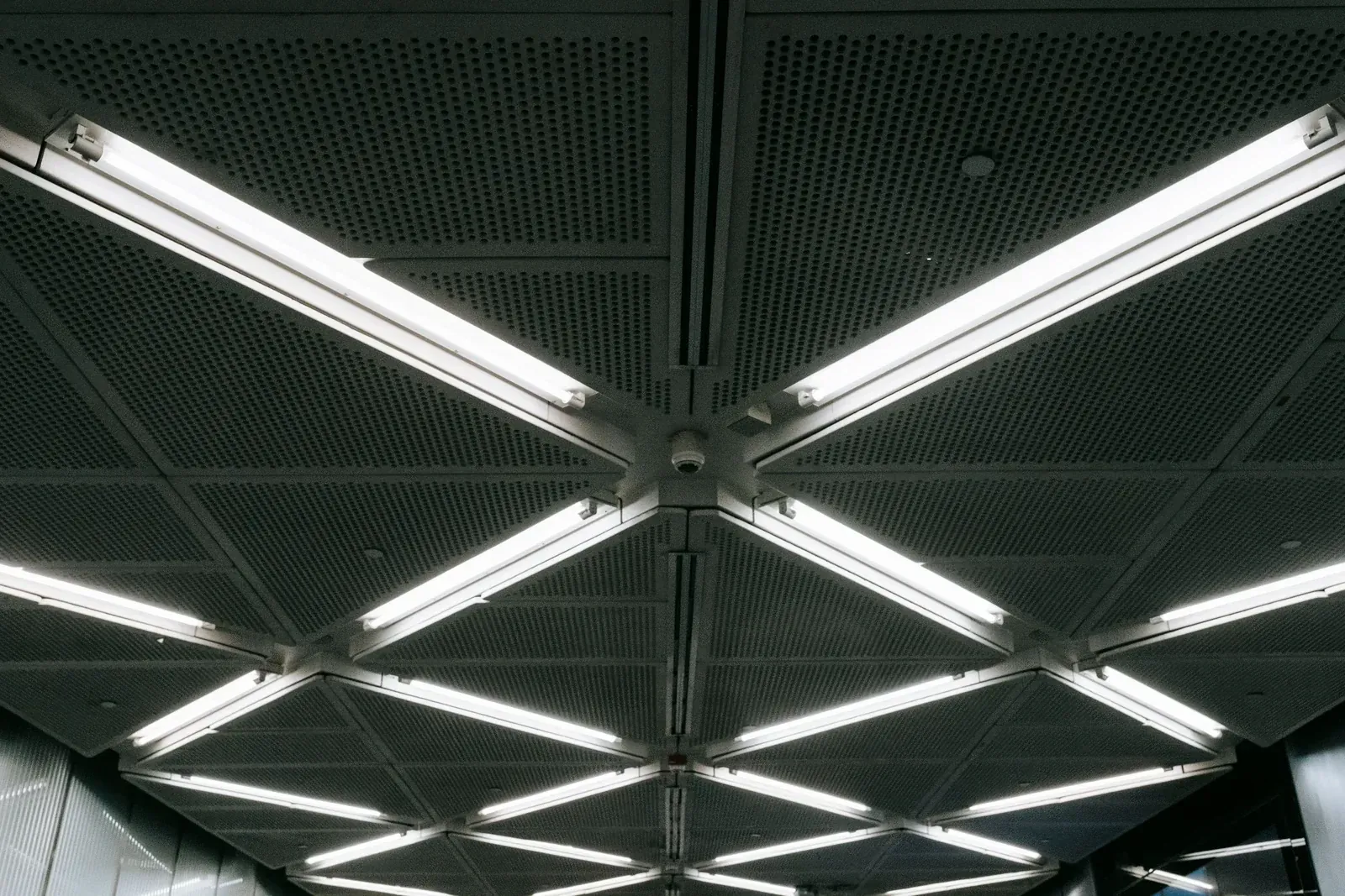 Underside view of a suspended ceiling grid with flush recessed lighting modules, showing how downlights integrate into a structural ceiling